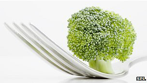 O brócolis encontrado nos supermercados tem o composto glucoraphanin, mas em menor quantidade.