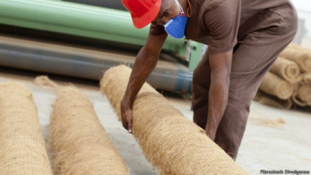 Mantas feitas da fibra do coco são usadas em encostas para conter deslizamentos.