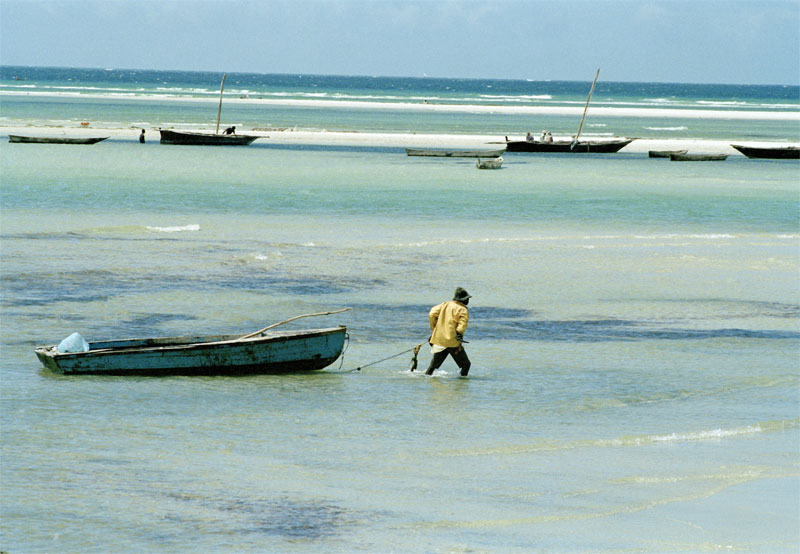 Pescador na Tanzânia. Foto:ONU/M. Grant.