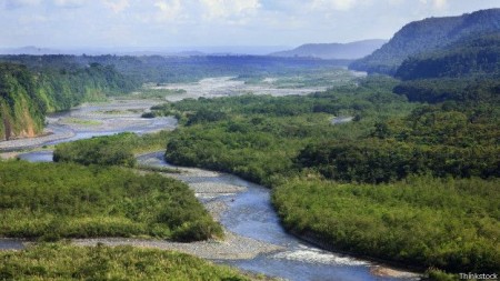 Floresta Amazônia abriga um dos ecossistemas mais ricos do mundo.